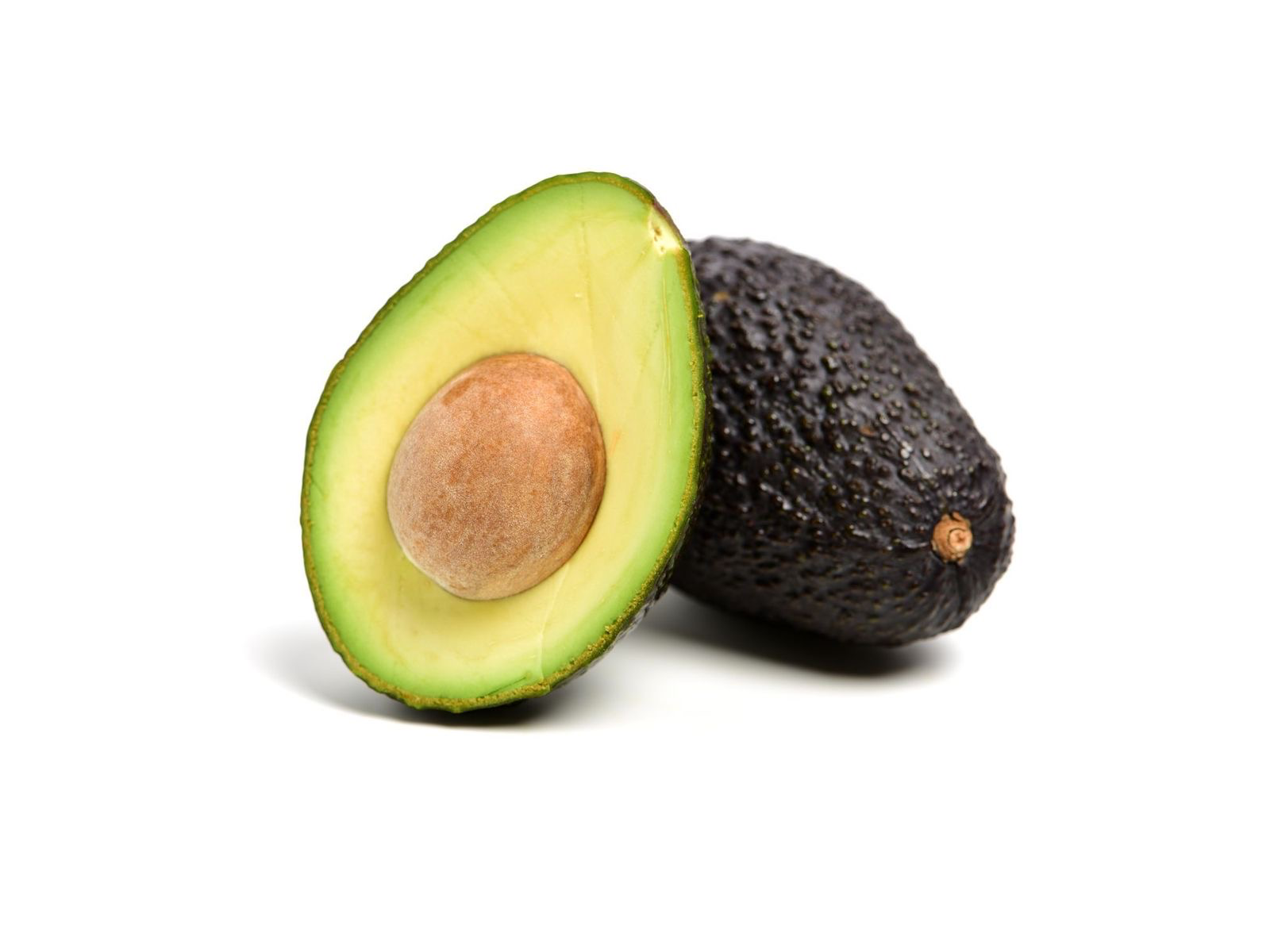 Palta Hass Chilena