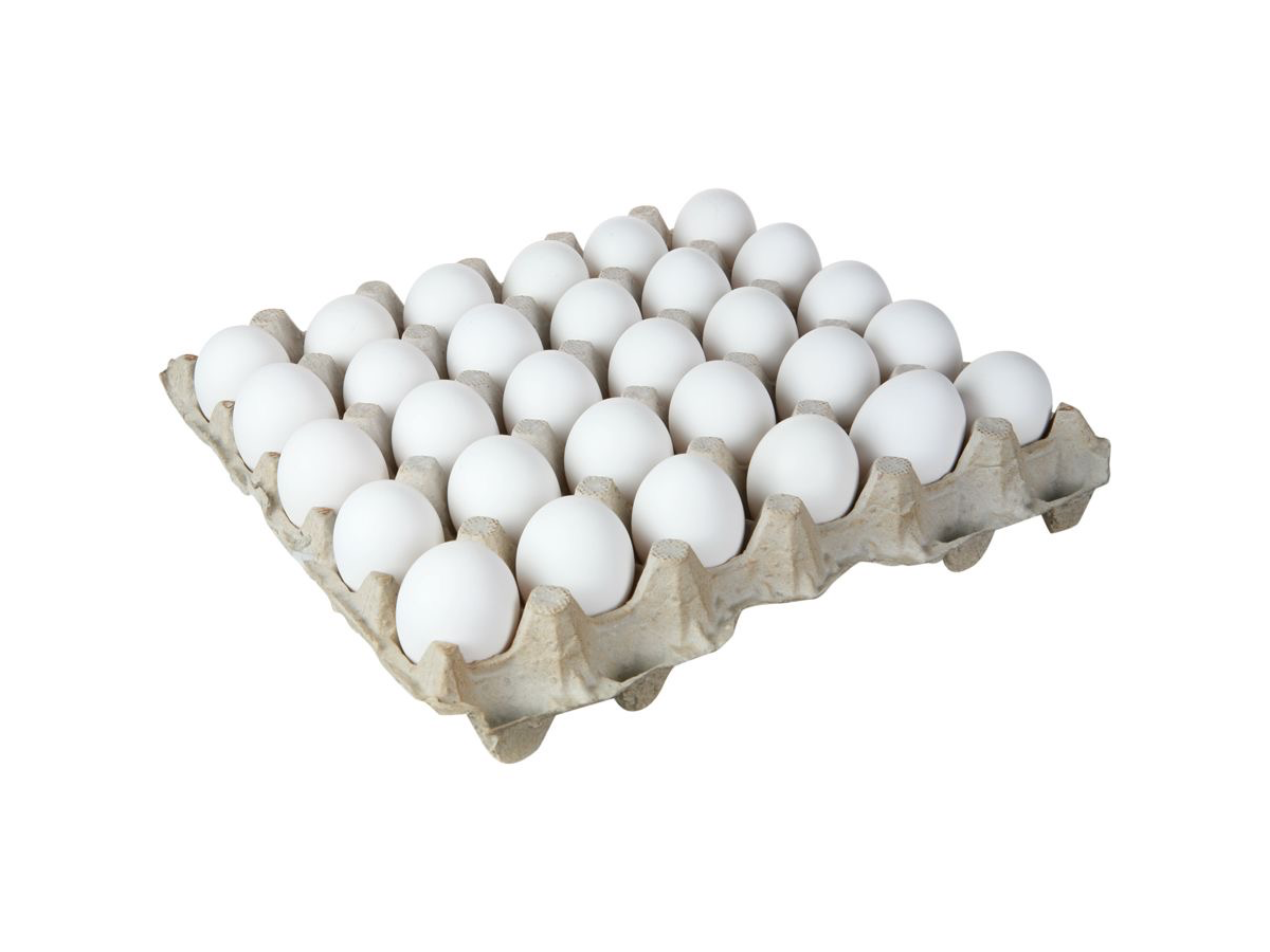 Maple de huevo blanco