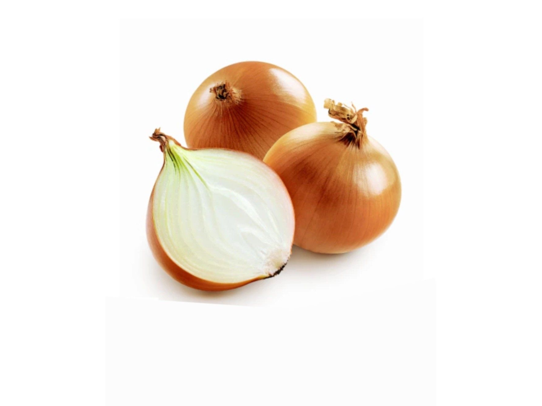 Cebolla