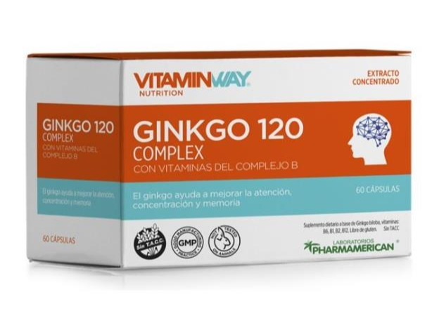 GINKGO 120 C VIT.WAY CAP X 60