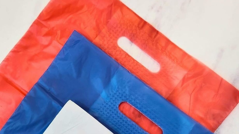 BOLSAS PLASTICAS