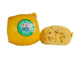 Fontina