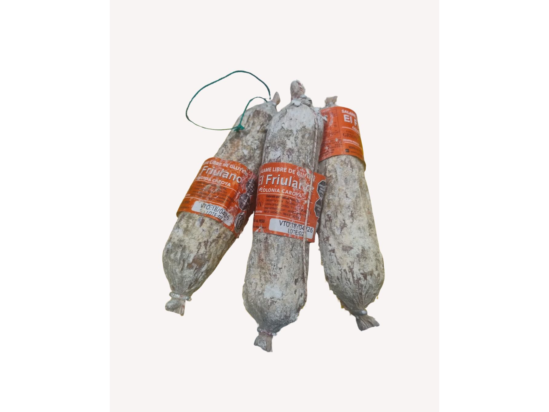 salamines Grion ( colonia carolla )