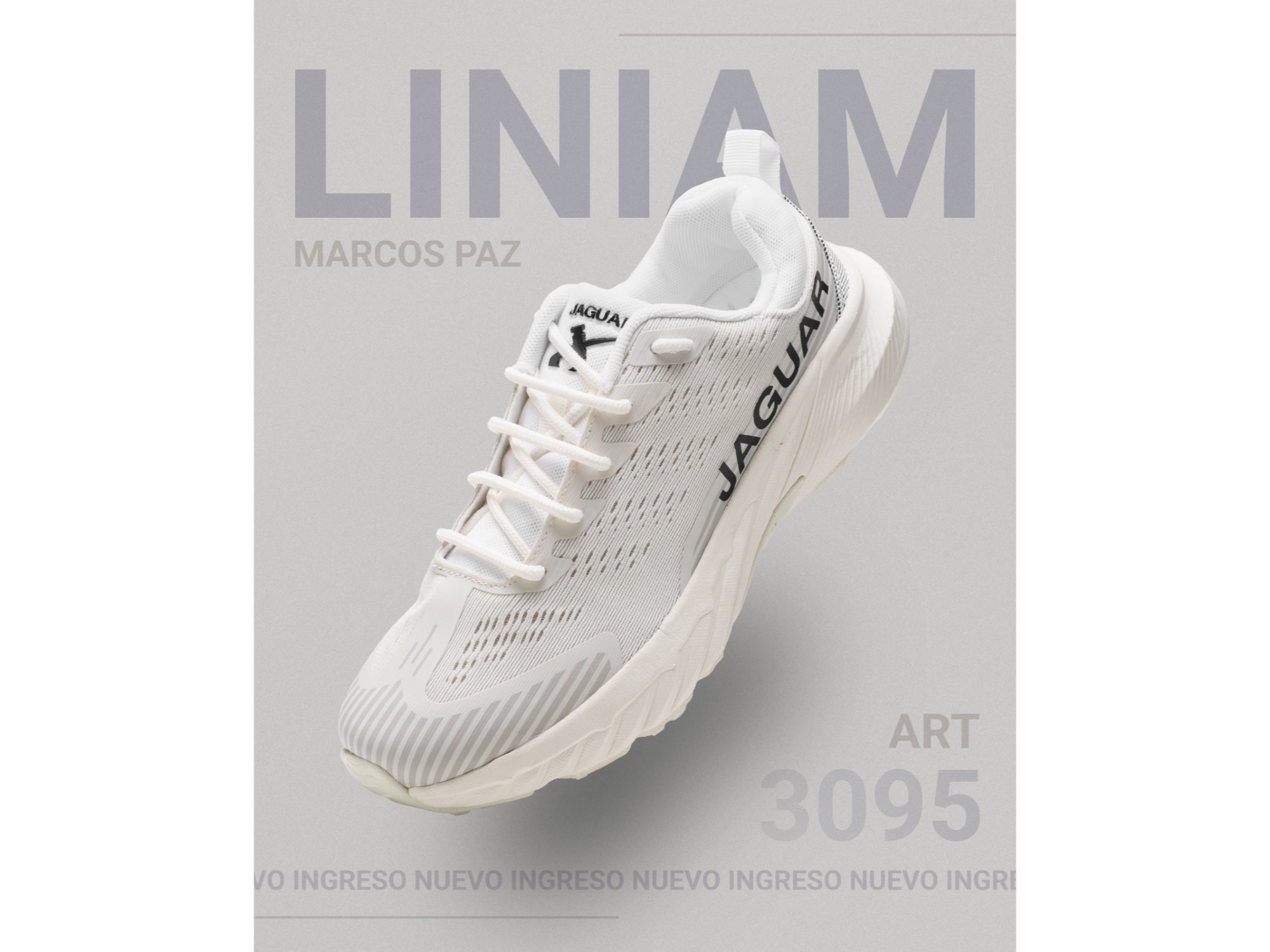 Zapatillas Jaguar Art. #3095 35 al 40