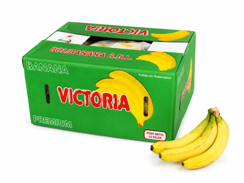 Banana bolivia