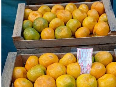 Mandarina