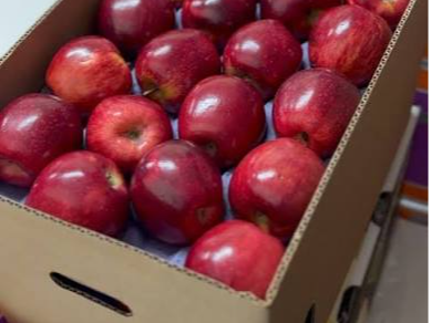 Manzana Red Delicious