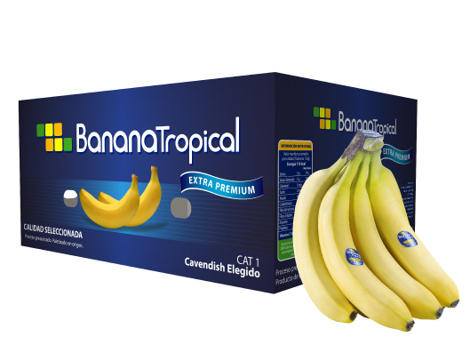Banana ecuador