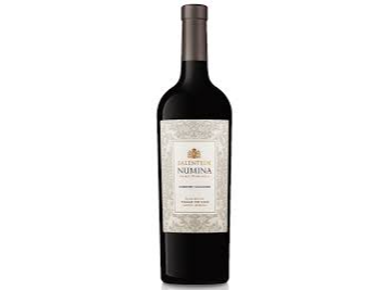 SALENTEIN NUMINA MALBEC