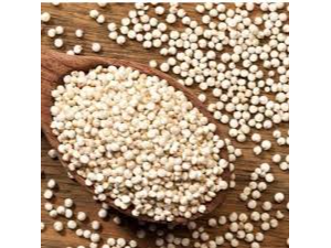 Semilla de Quinoa blanca x kg