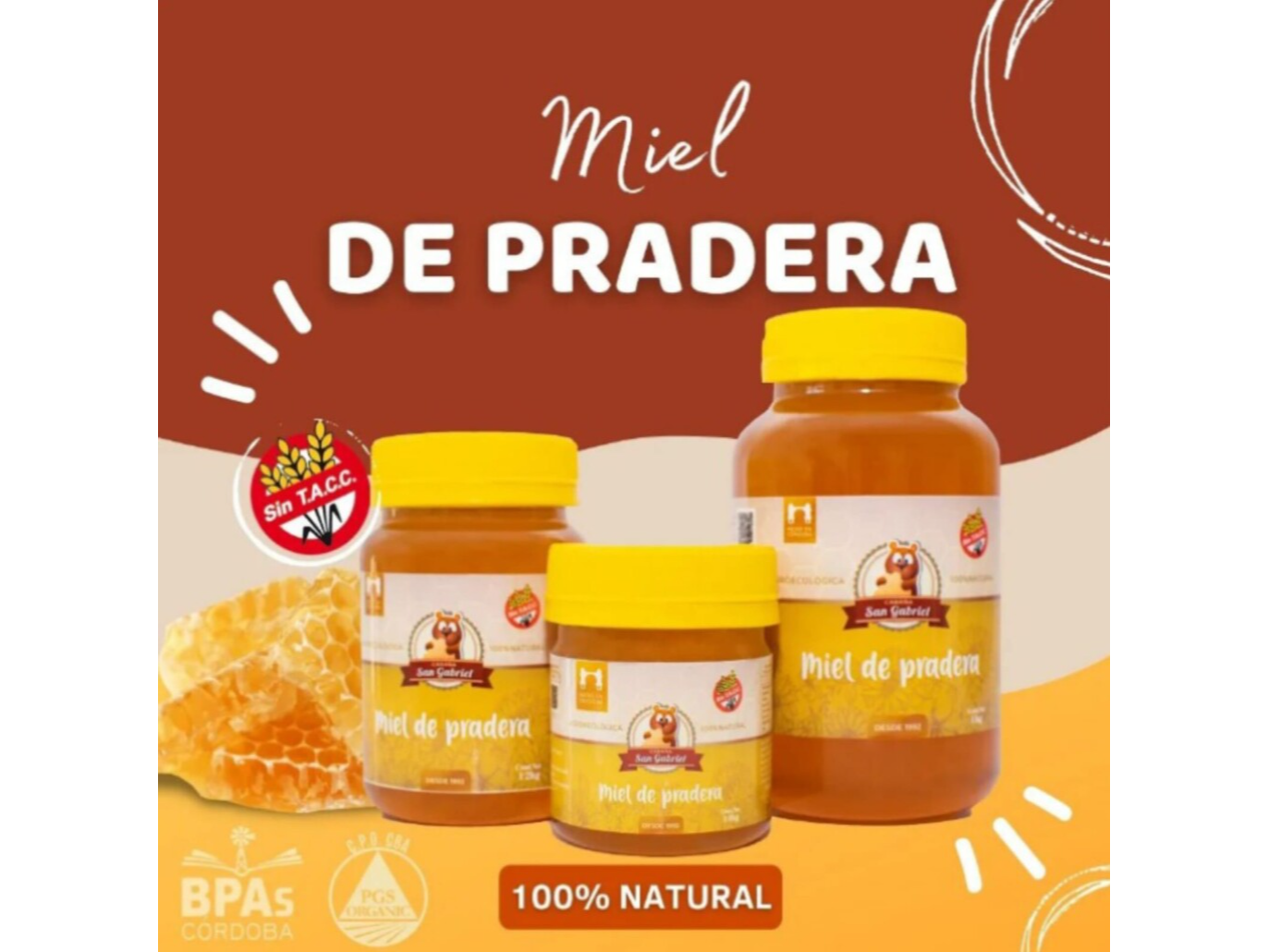 Miel de Pradera Agroecológica San Gabriel x 250 gr.