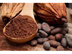 Cacao Amargo x kg