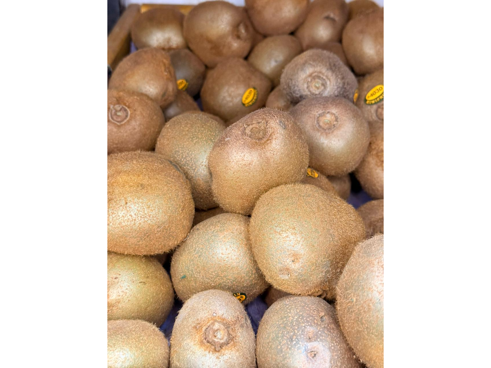 Kiwi