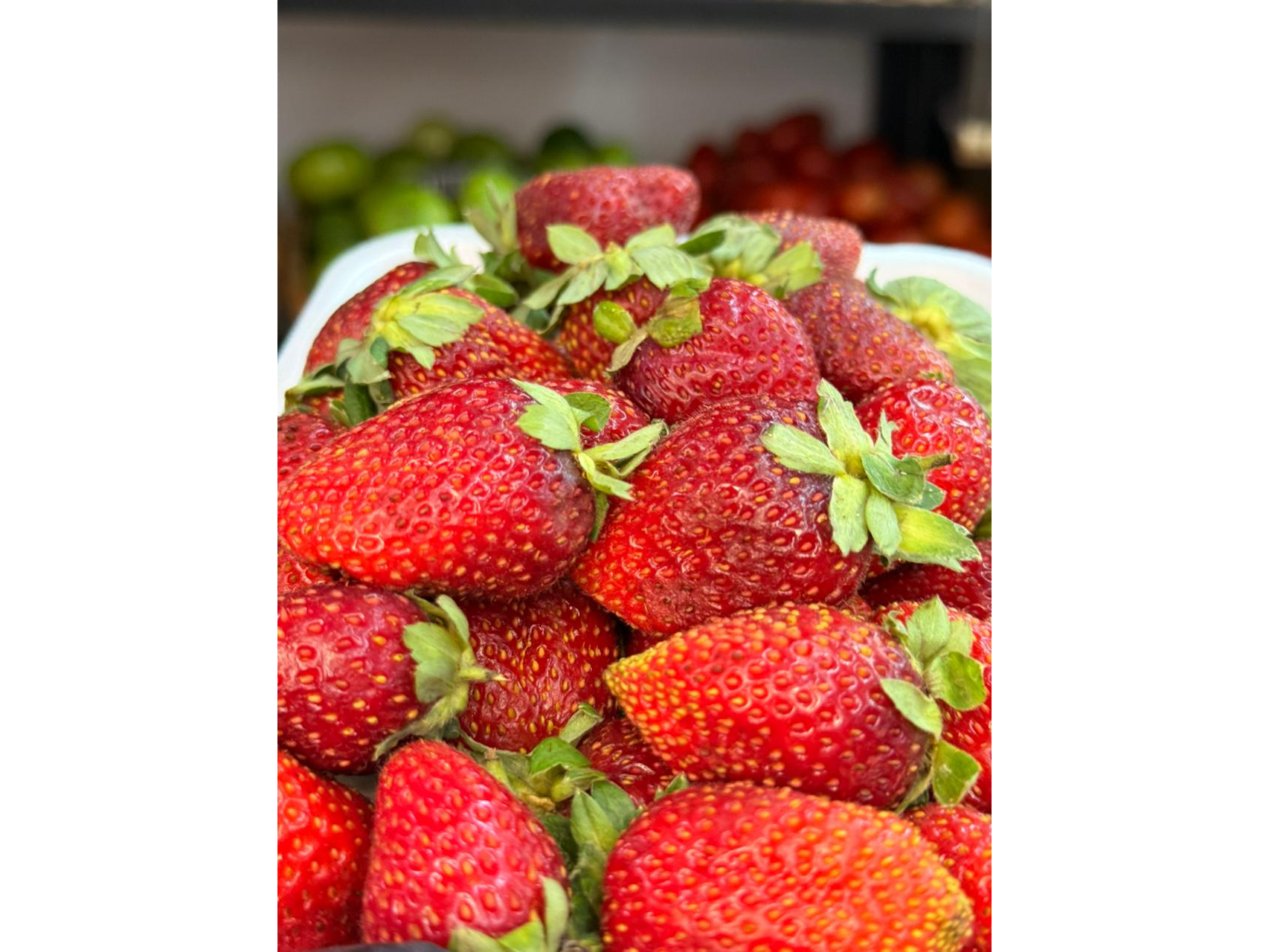 Frutilla