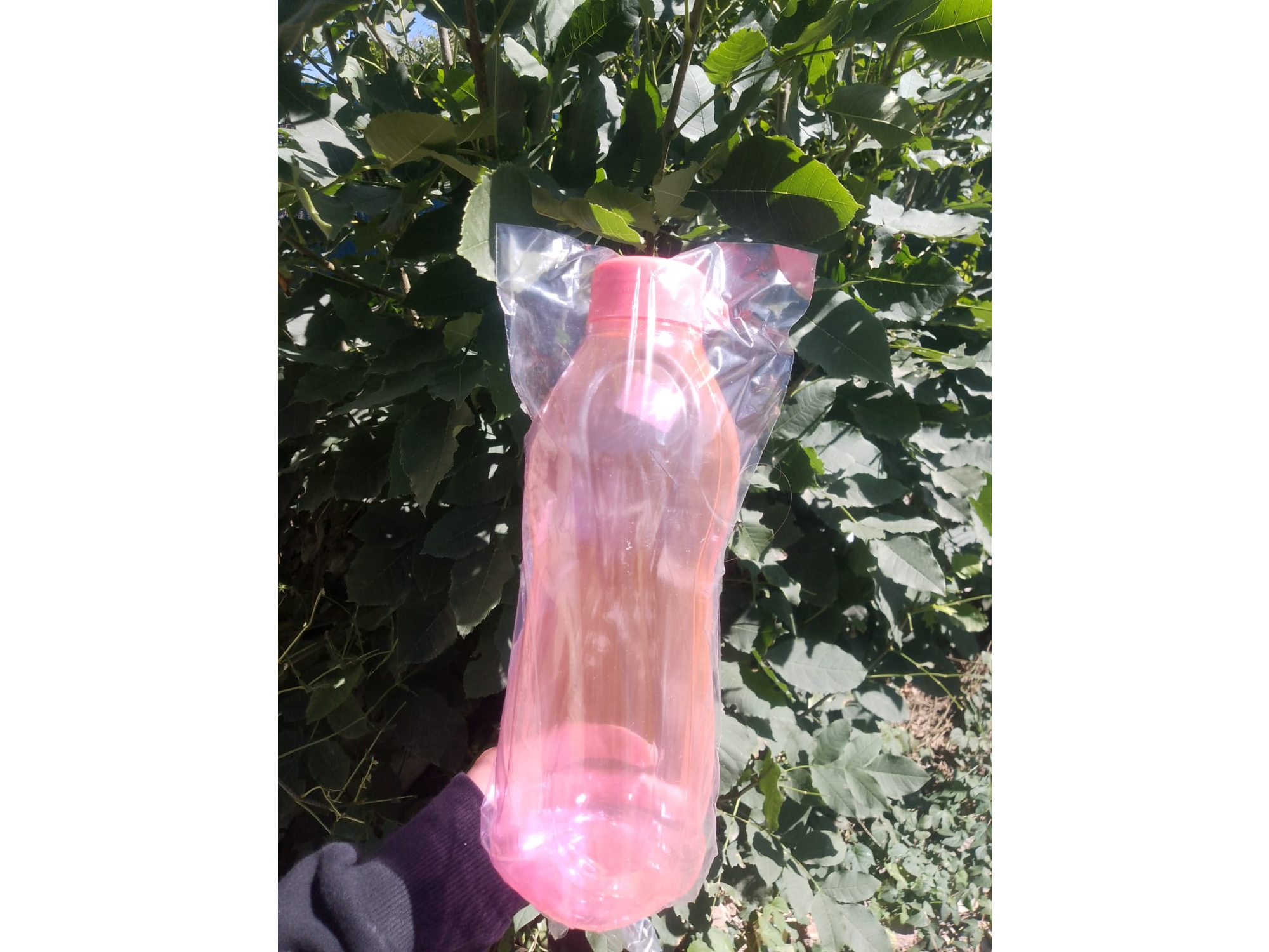 batella de 1l