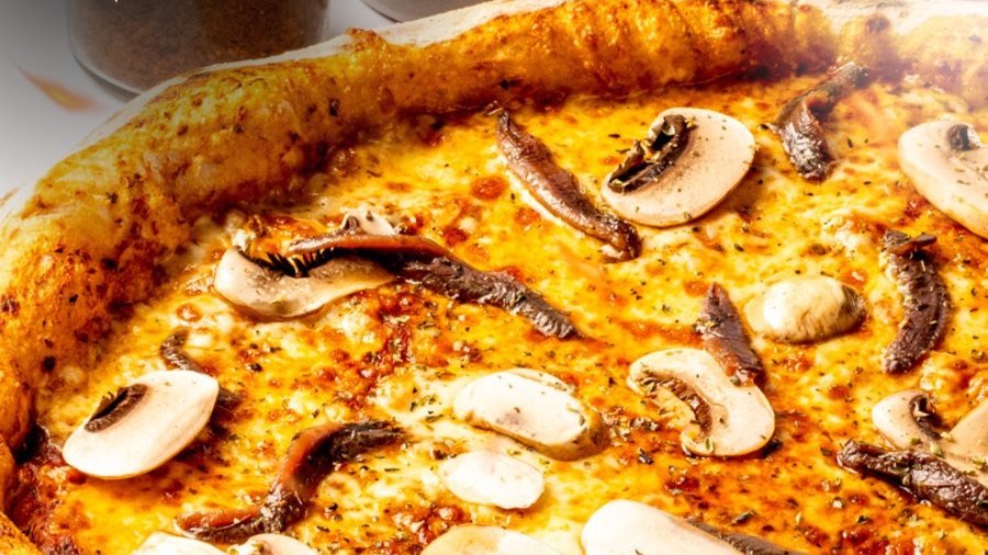 PIZZA DEL MES 11.990