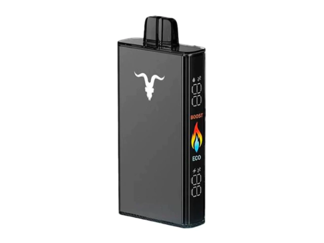 IGNITE V250 ICY MINT