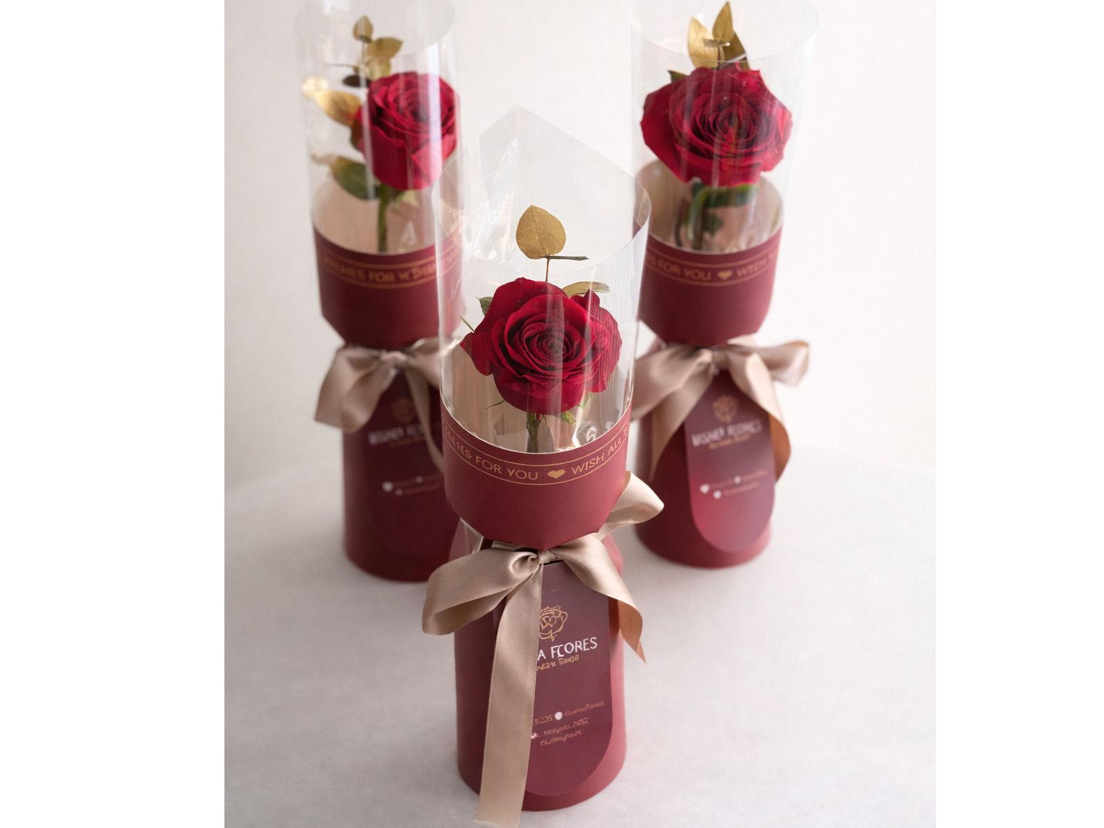 Rosa premium de Bluma Flores