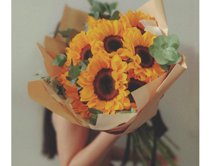Sol de amor (envío s/c x Hurlingham)