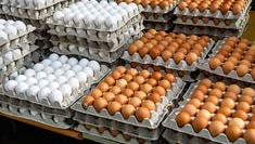 HUEVOS