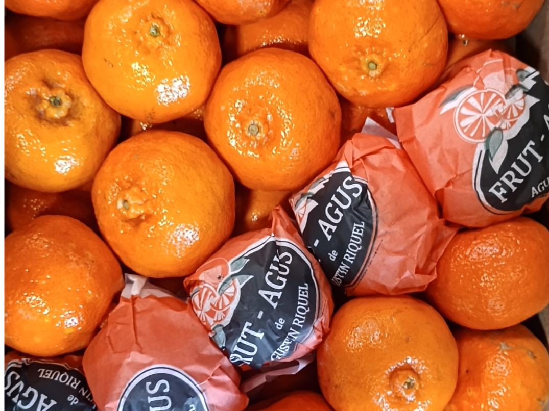 Mandarina Dancing X2Kg
