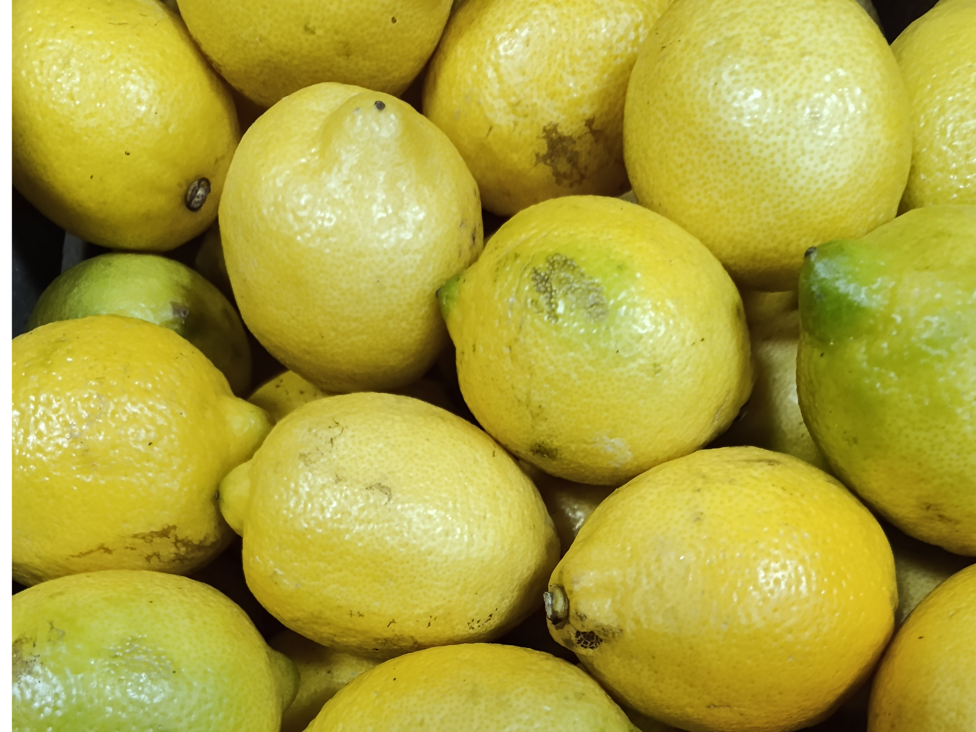 Limon