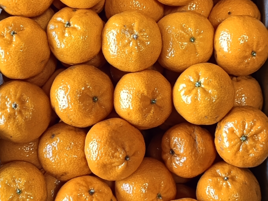 Mandarina Criolla por 2Kg