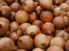 Cebolla