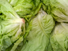 Lechuga Mantecosa x 2500Gr
