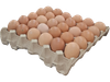 Maple Huevos Castaño Grande X1Unidad
