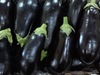 Berenjena