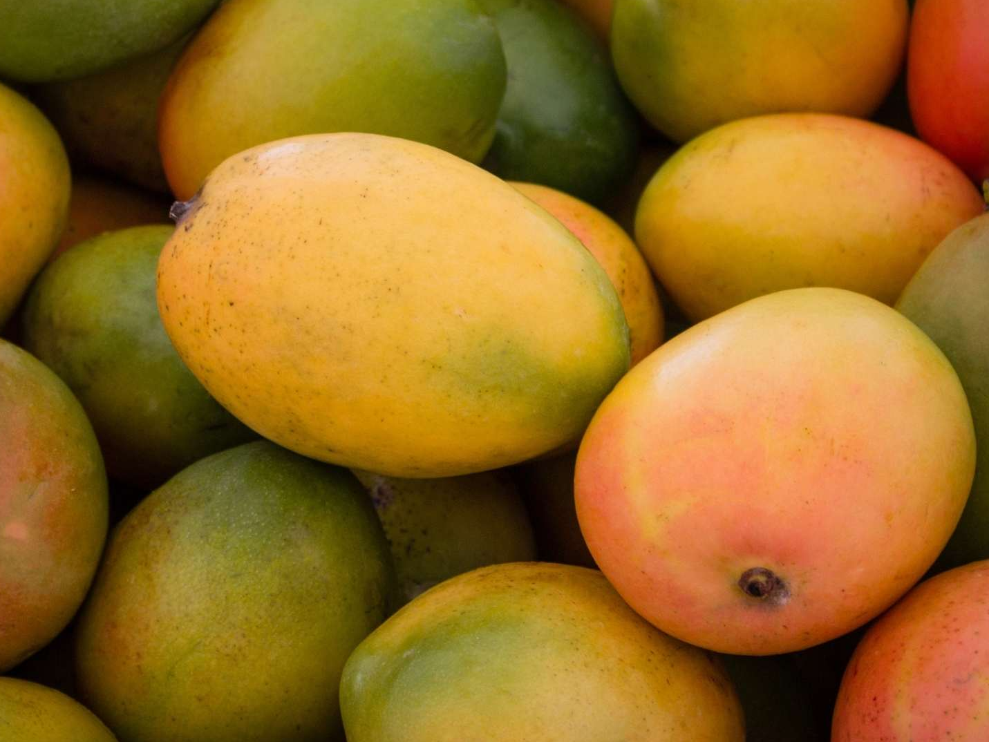 Mango por unidad