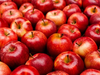 Manzana Primera