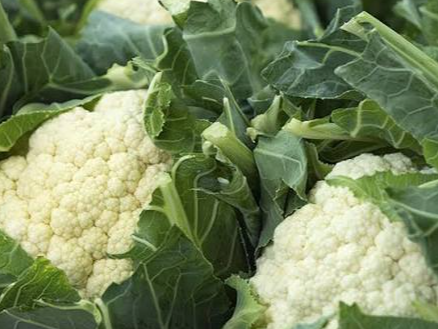 Coliflor por unidad