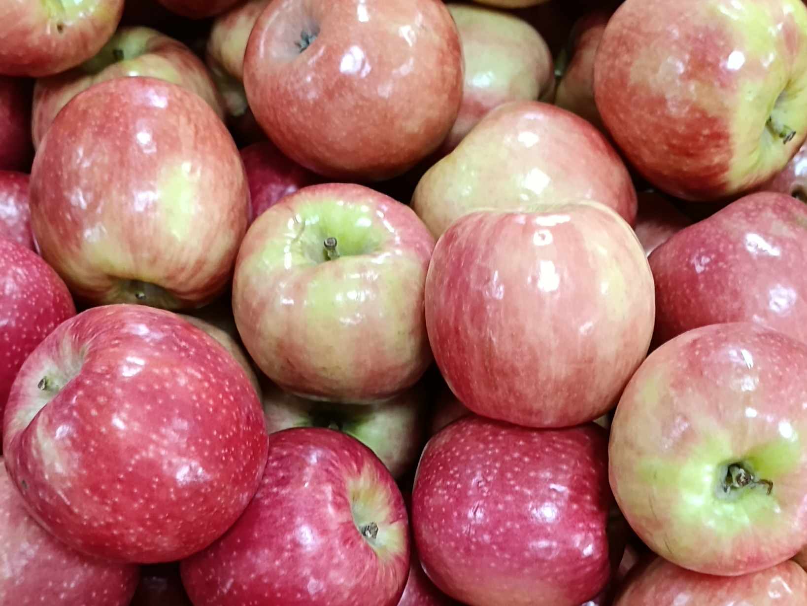 Manzana Pink Lady