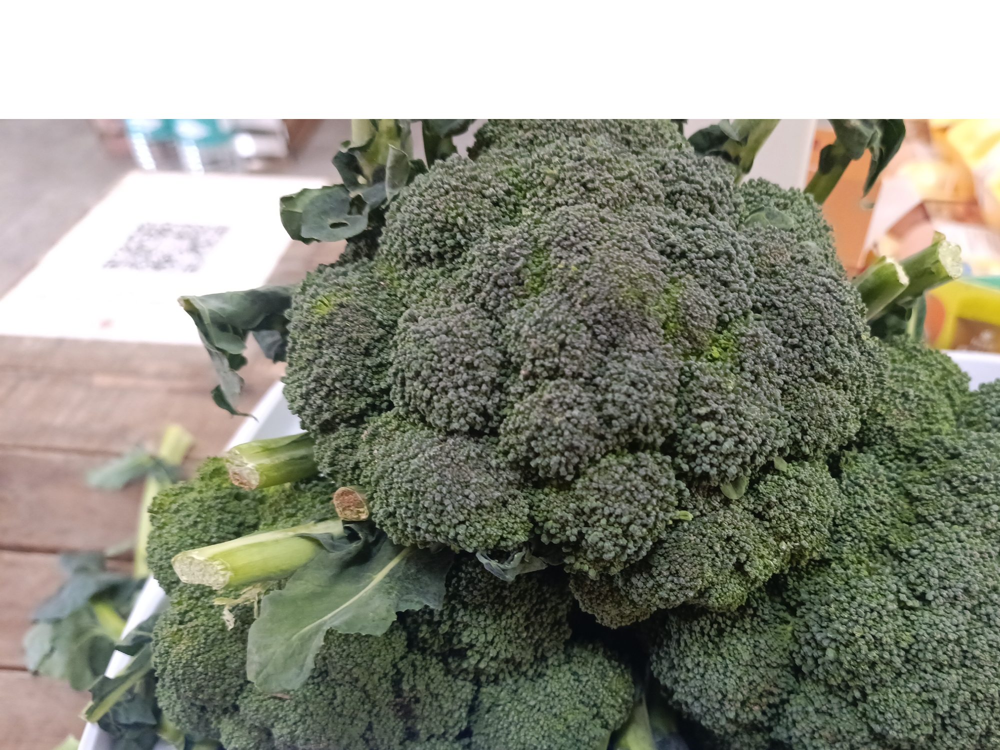 Brocoli