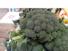 Brocoli