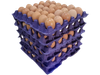 Maple Huevo Castaño Mediano X6 Unidades