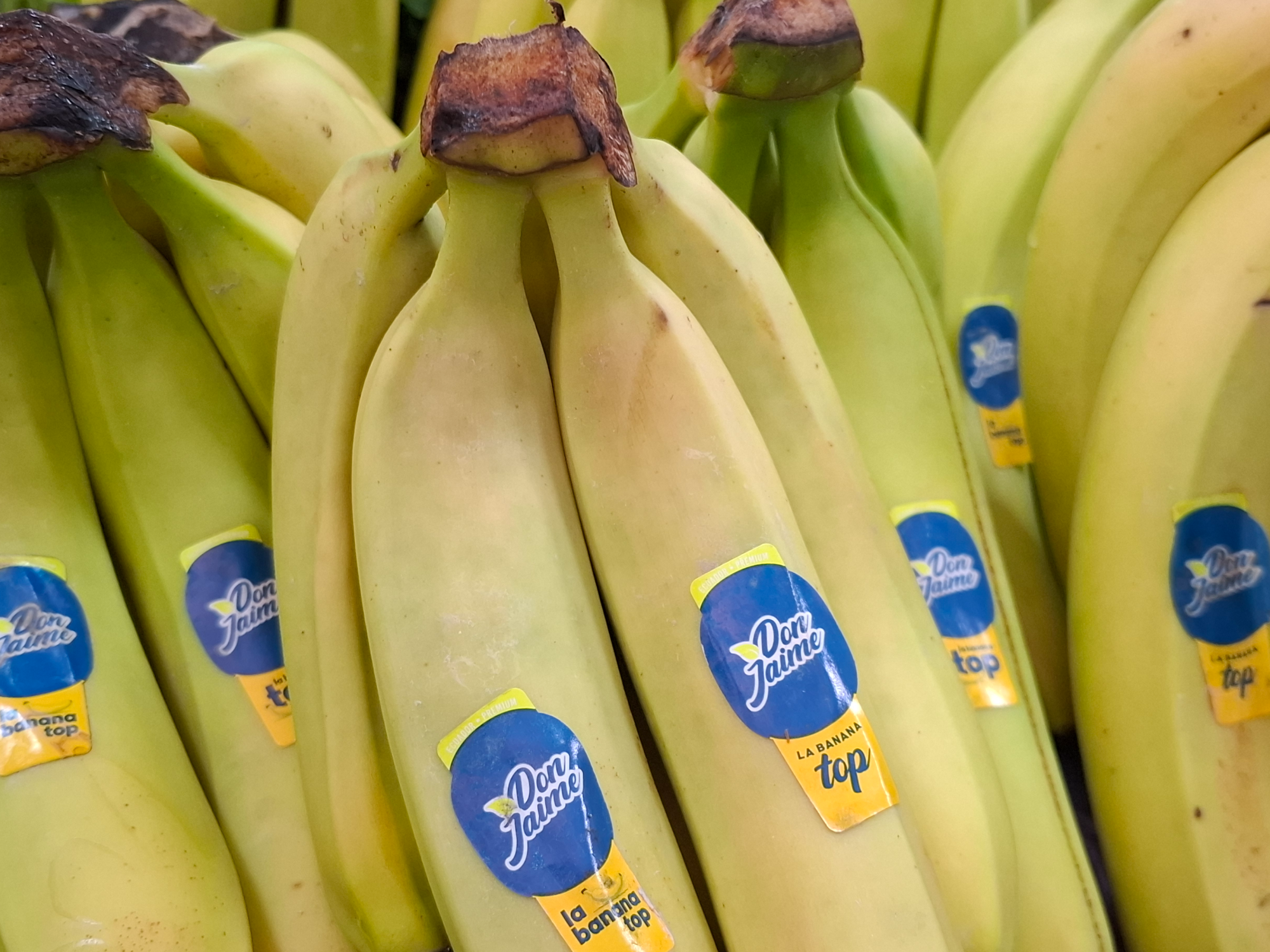 Banana Ecuador