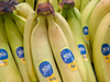 Banana Ecuador