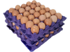 Maple Huevo Castaño Mediano X3 Unidades