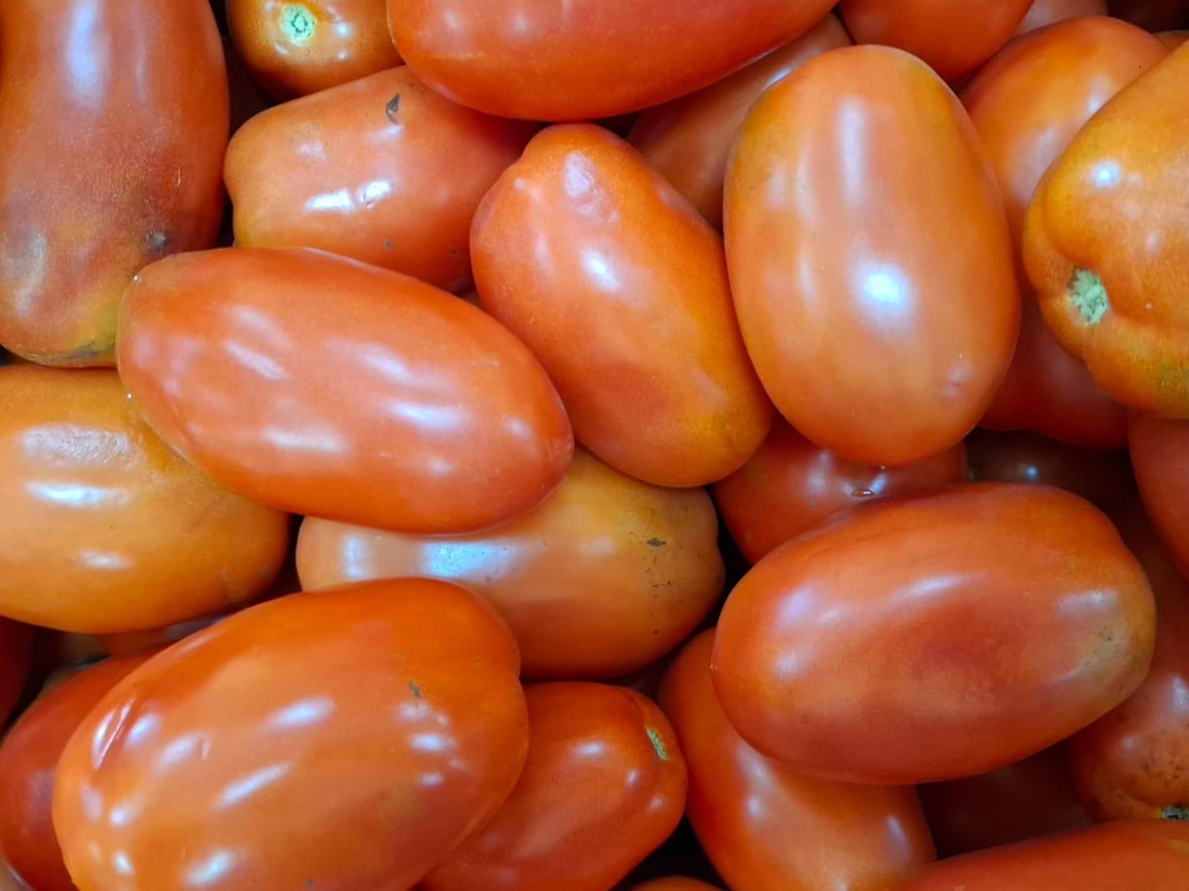 Tomate Perita
