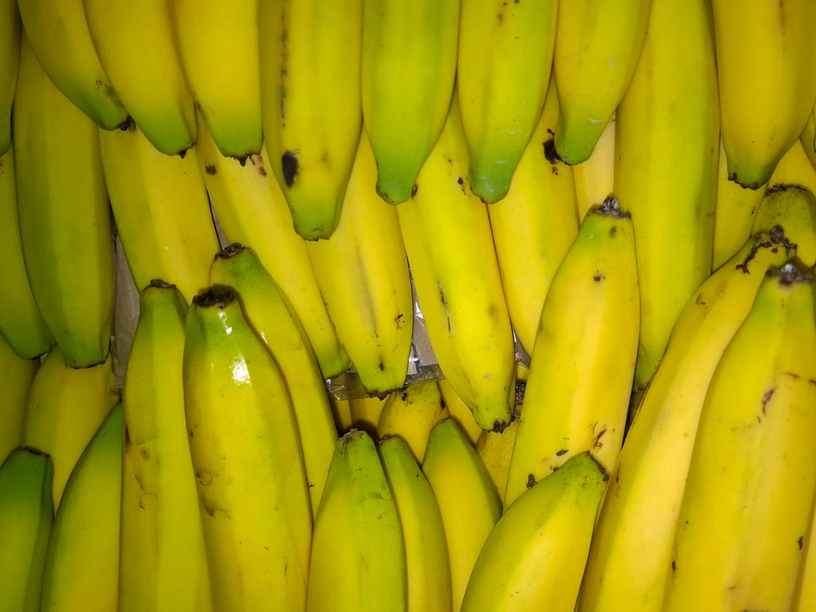 Banana Bolivia