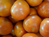 Tomate Redondo