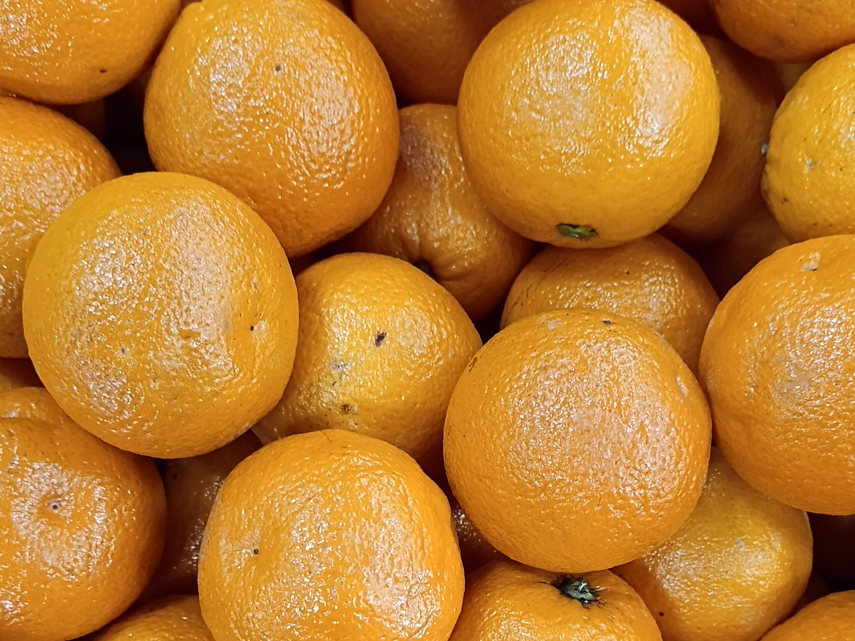 Naranja De Jugo Chicas