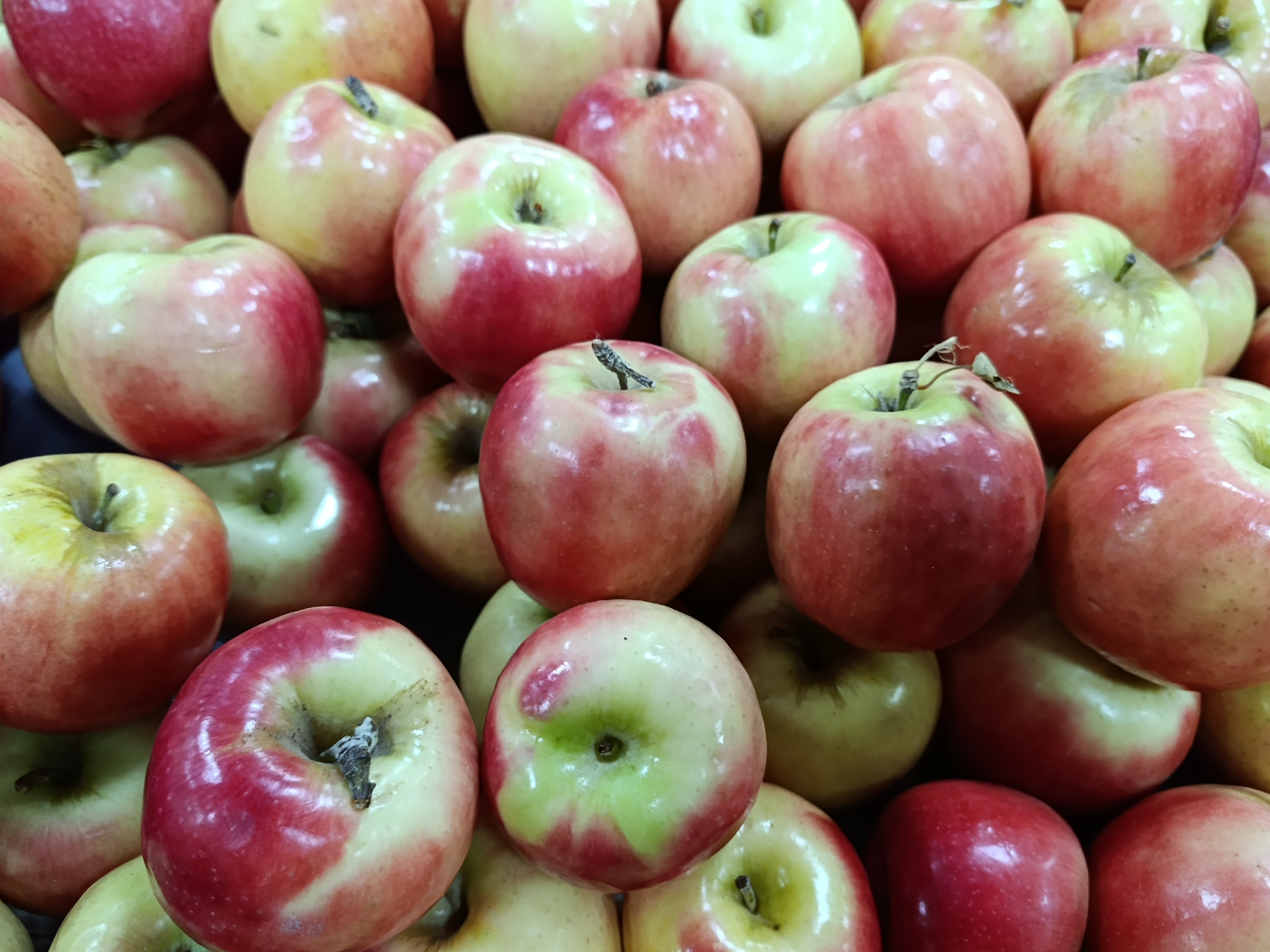 Manzana Pink Lady