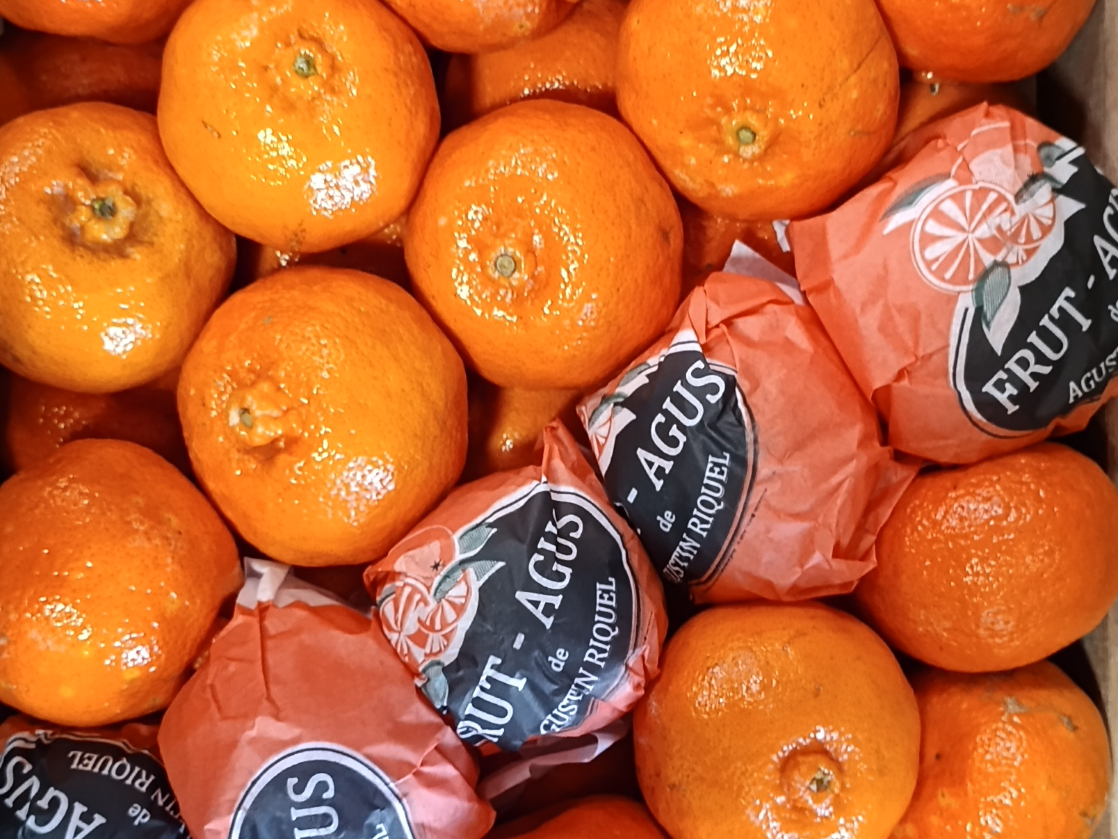 Mandarina Dancing