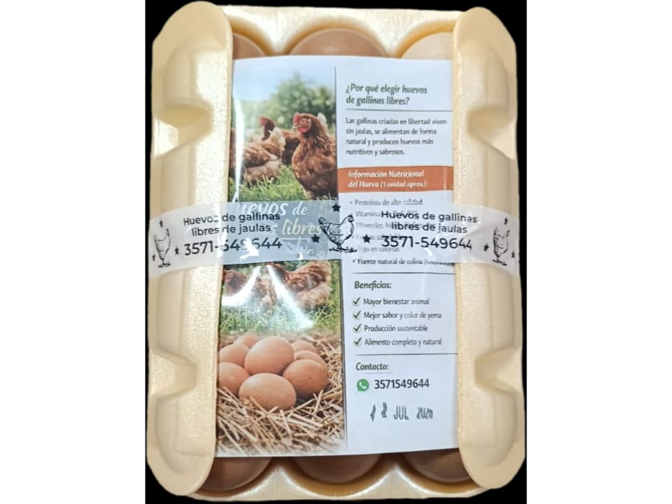 Huevos Gallinas Felices x 12 Unidades