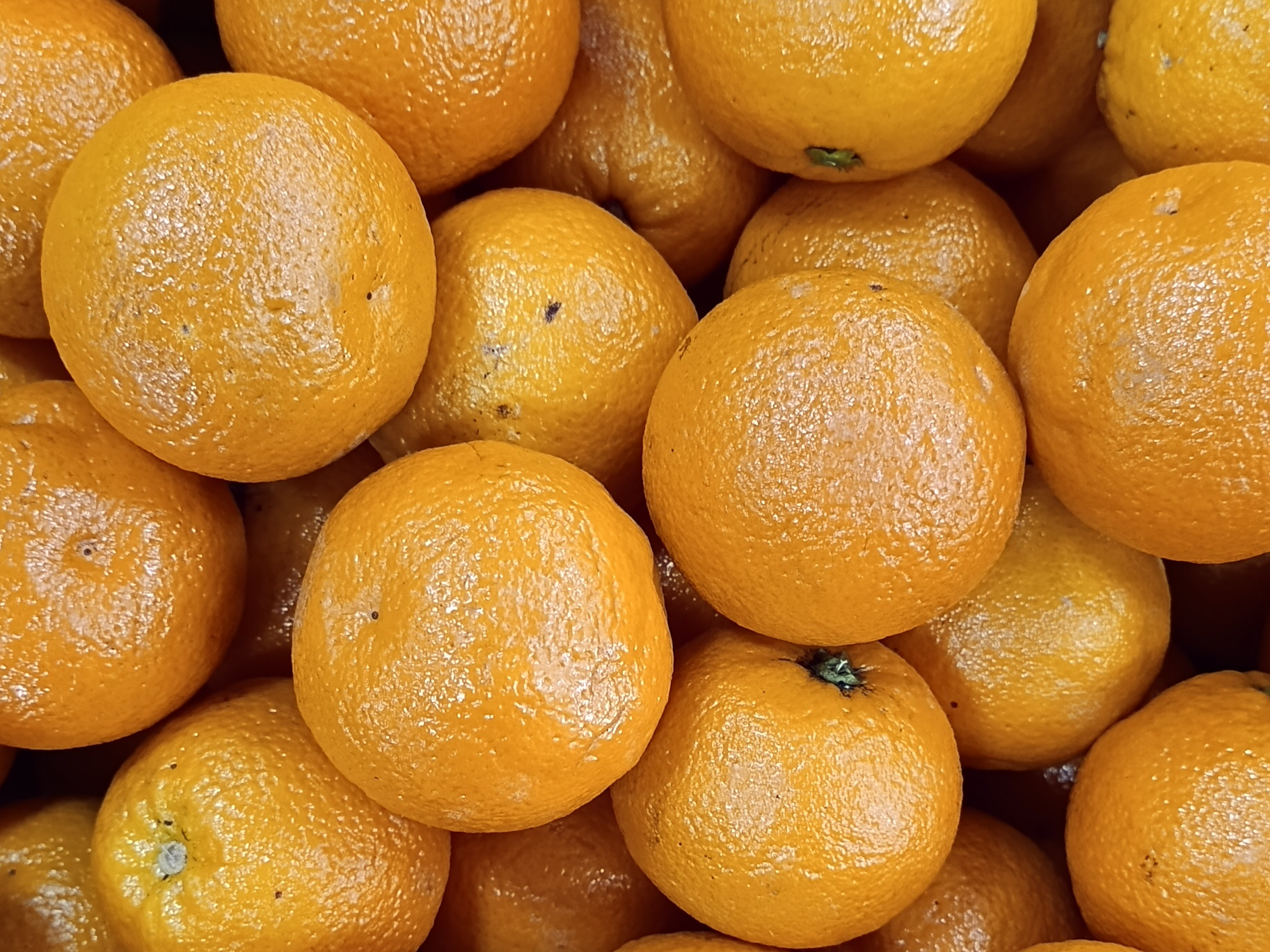 Naranja de Jugo Chicas X2 Kg
