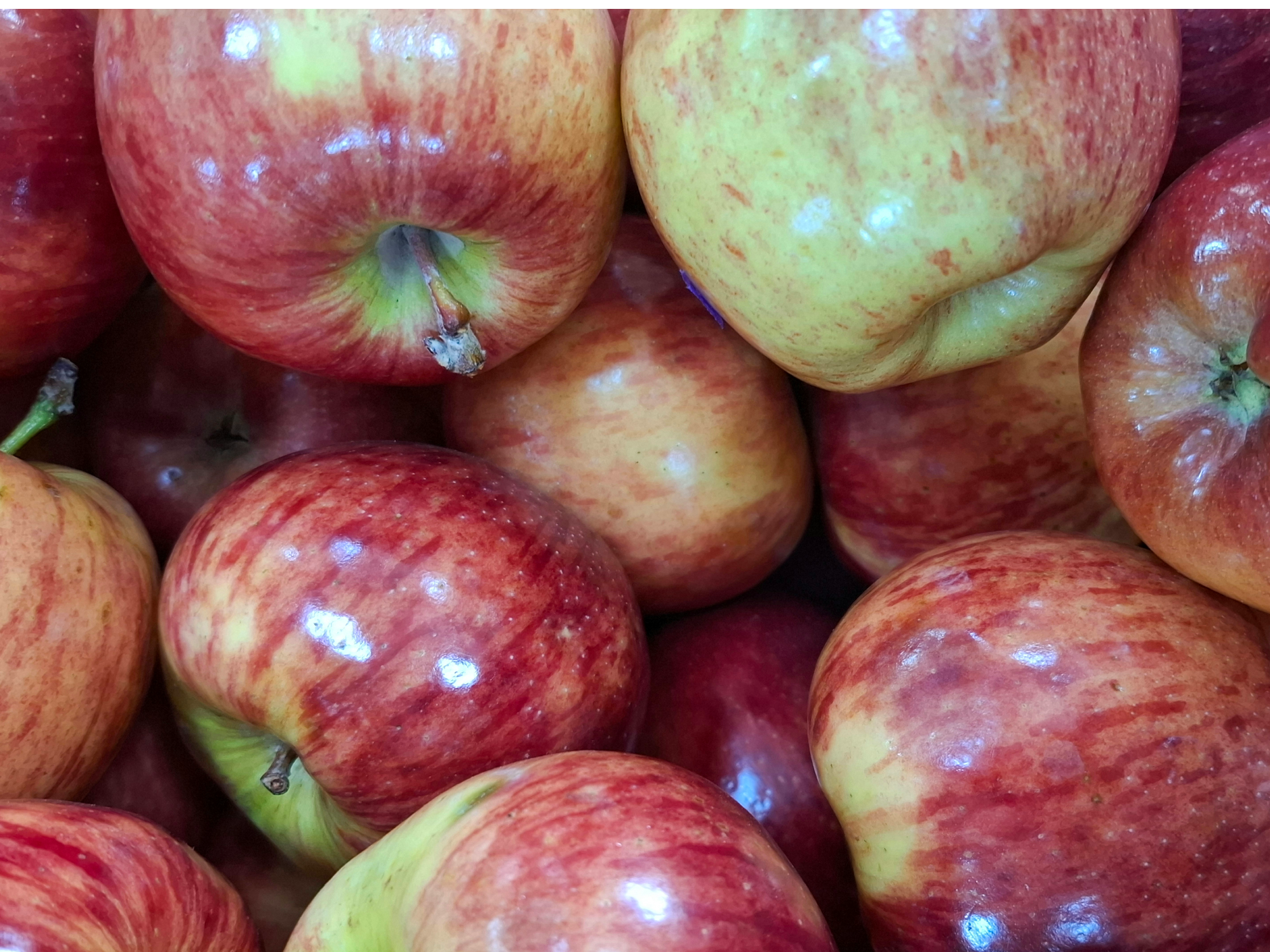 Manzana